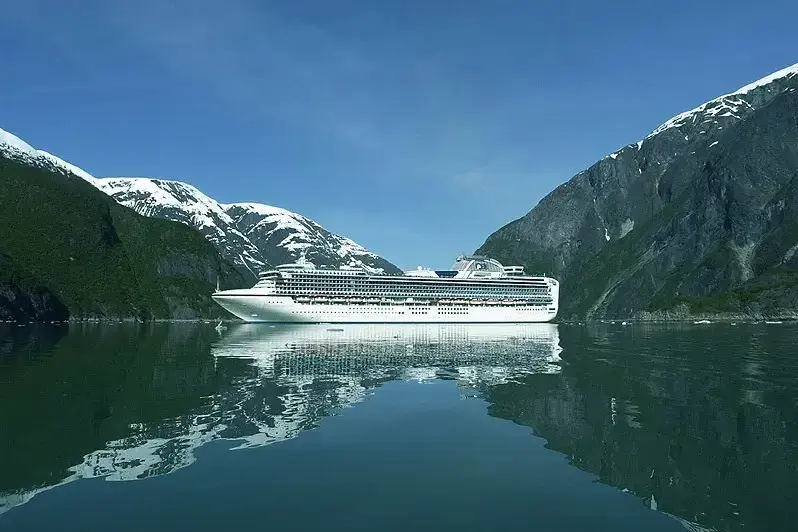 Diamond Princess.webp