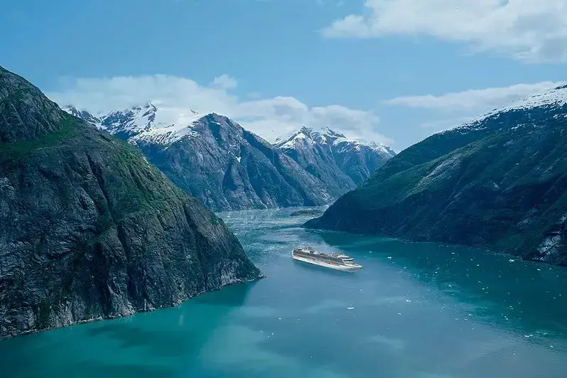 Diamond Princess.webp