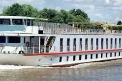 Ms Princesse De Provence Description.webp