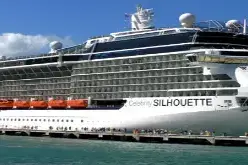 Celebrity Silhouette Description.webp