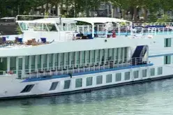 MS "Bijou" Description.webp