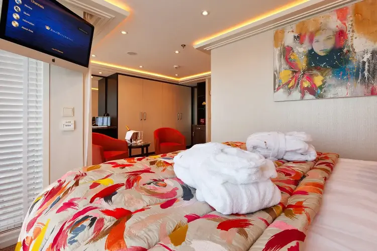 ship_23_cat_suite_pic_3.webp