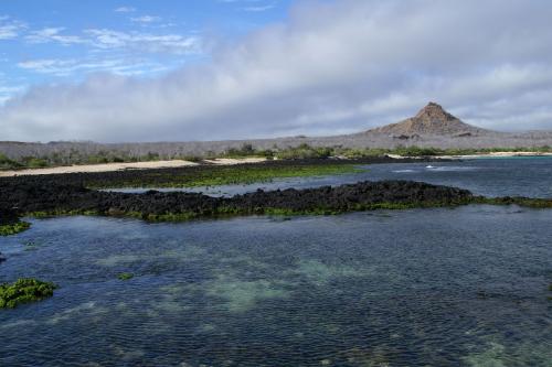 Cerro Dragon (Galapagos Islands) / Ecuador