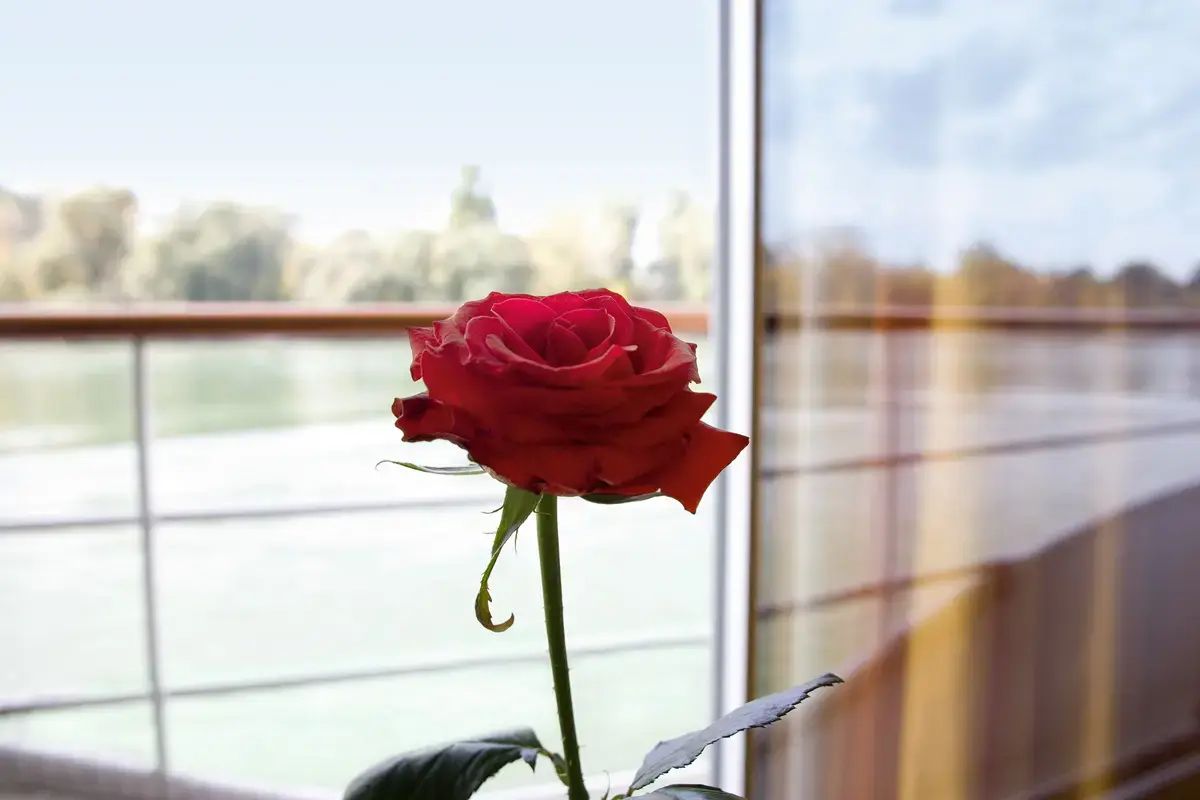 Річкові круїзи з A-rosa Cruises