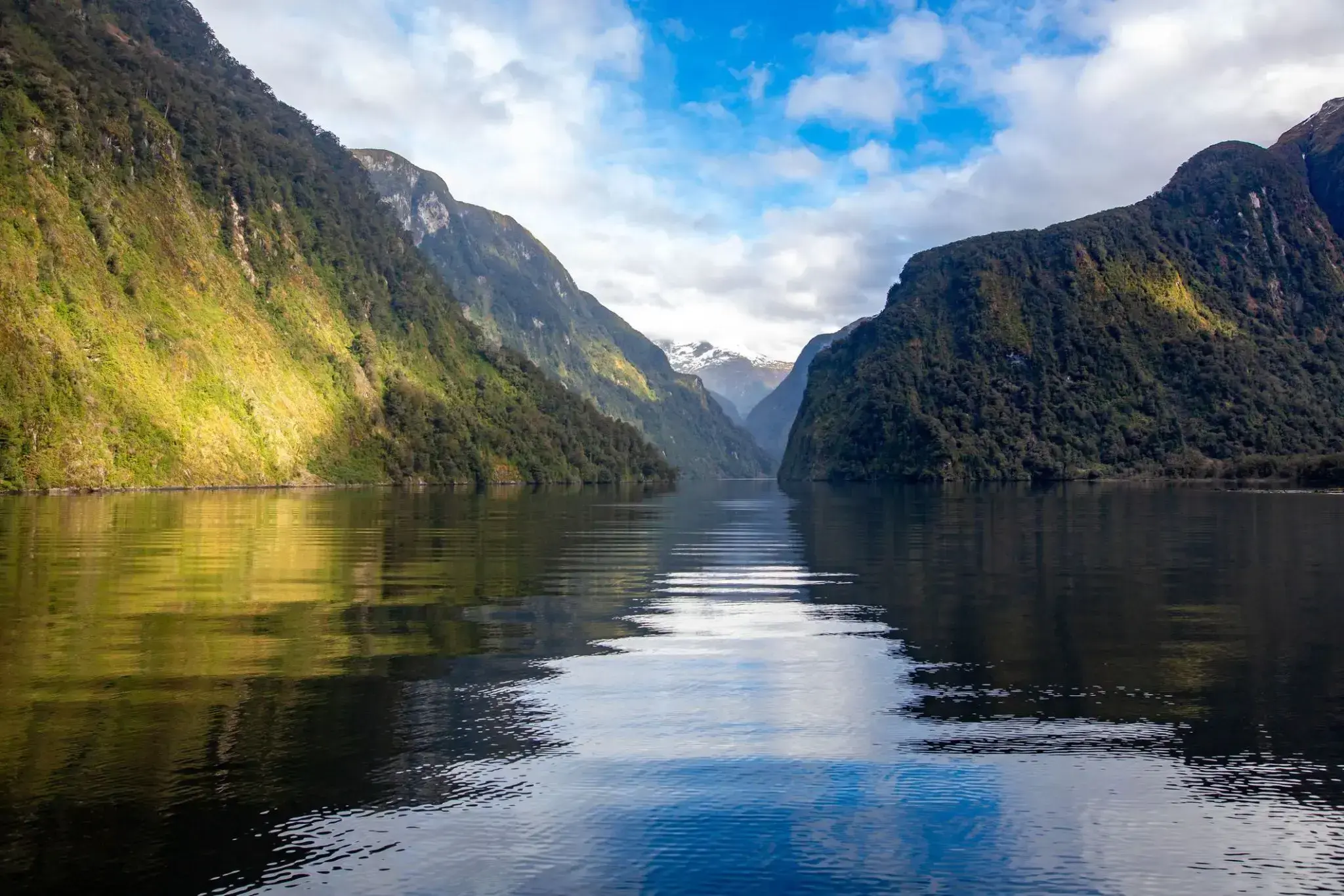 34880_Doubtful Sound fjord.webp