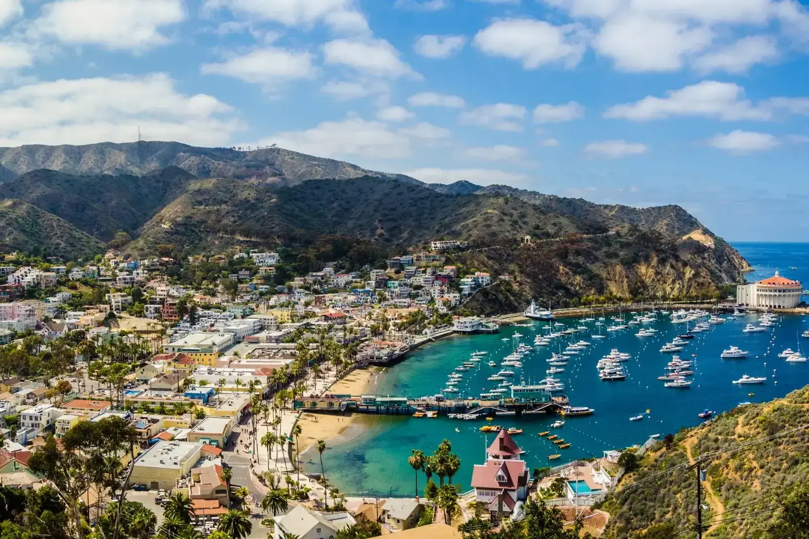 35658_Santa Catalina Island .webp