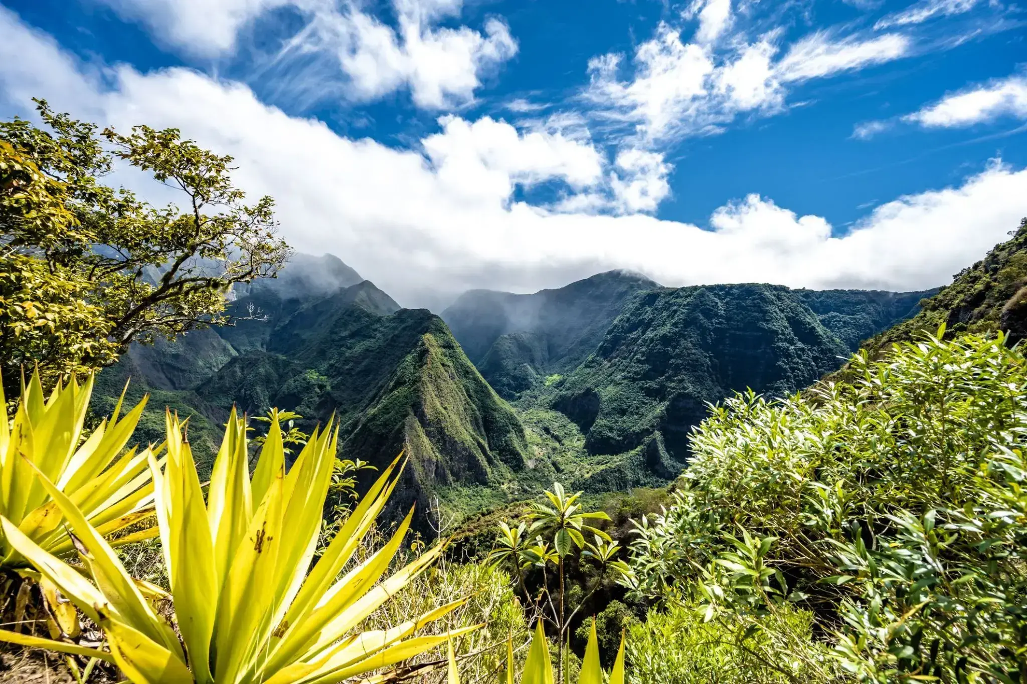 46327_La Possession.webp