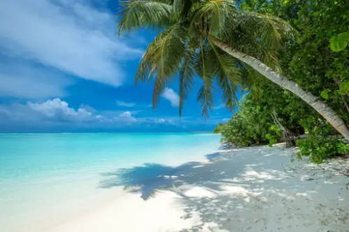 Чефе Помене / Мозамбік