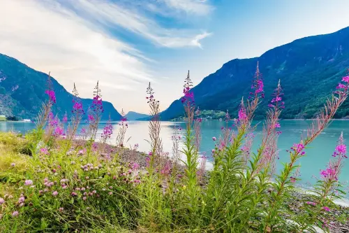 Скьольден / Норвегия