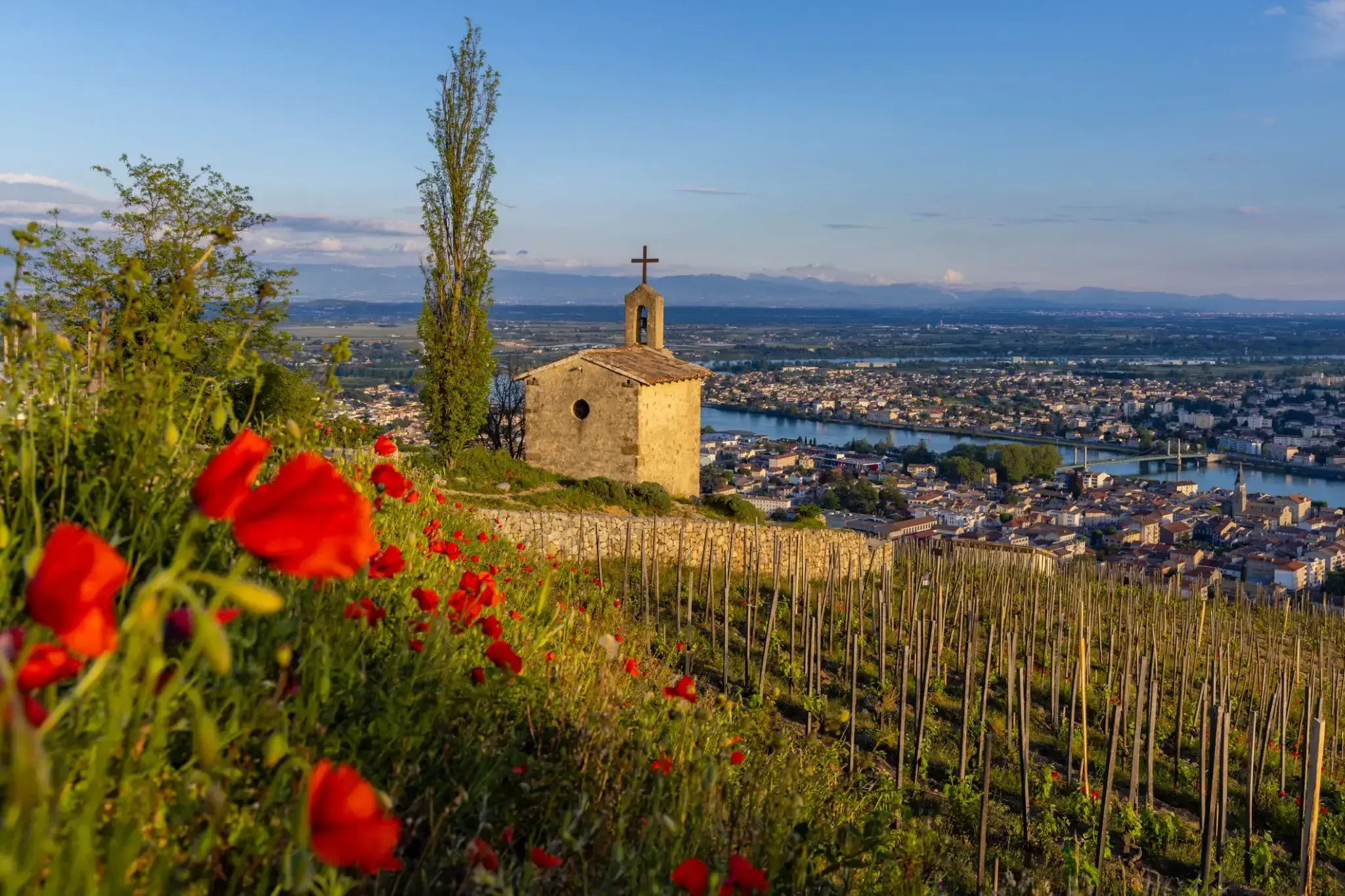 85_Tain-l'Hermitage .webp