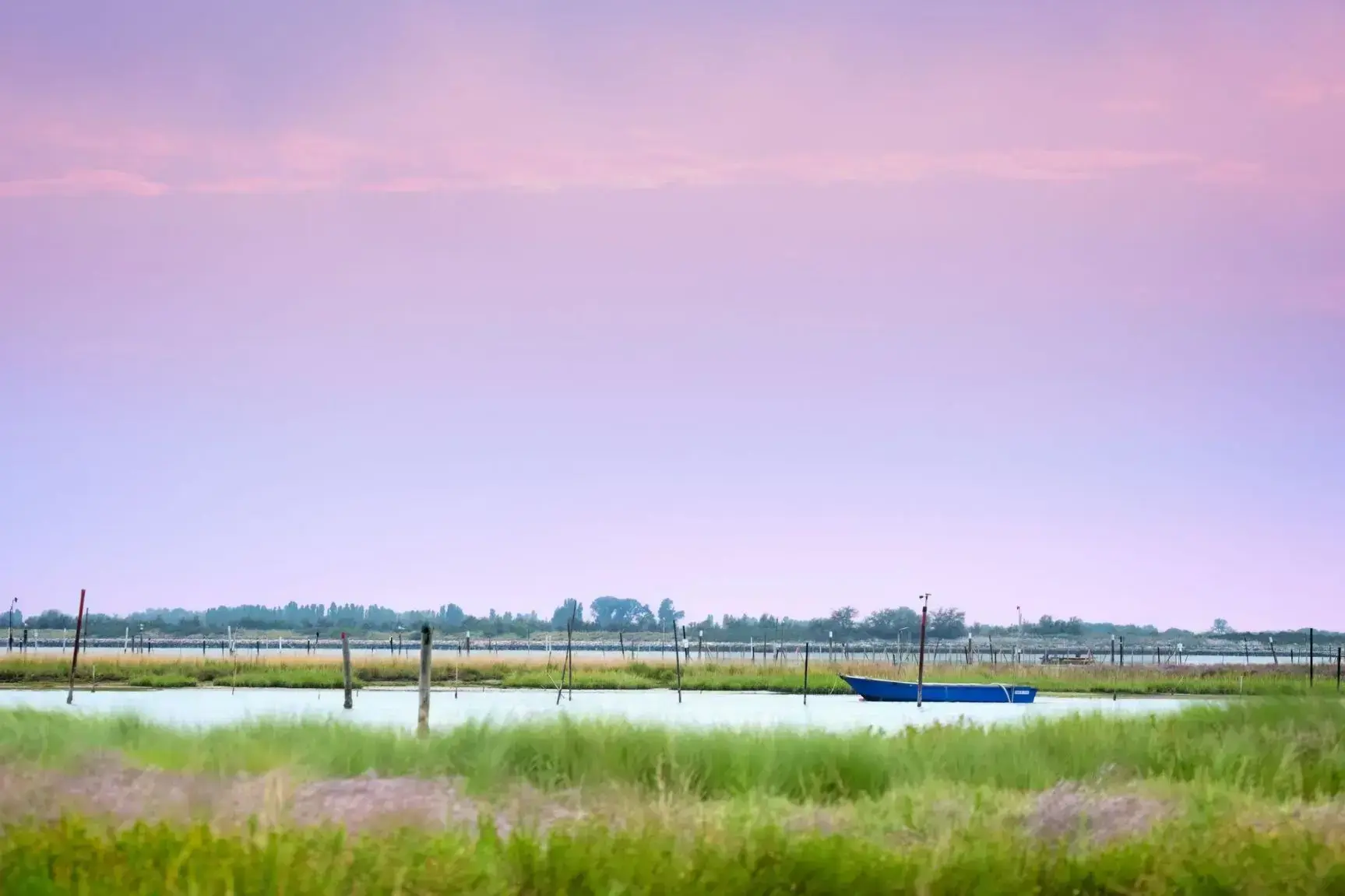 2388458_Porto Viro.webp