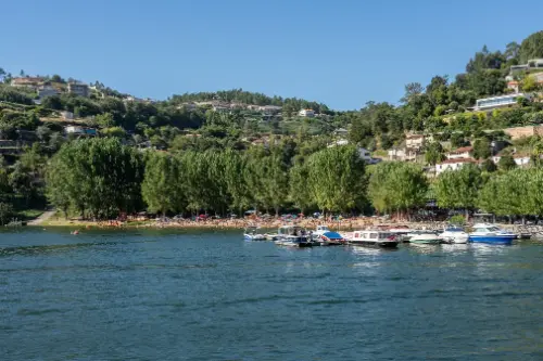 Бітетуш / Португалія