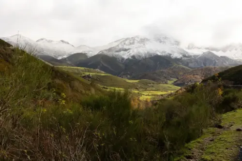Вега Террон / Іспанія