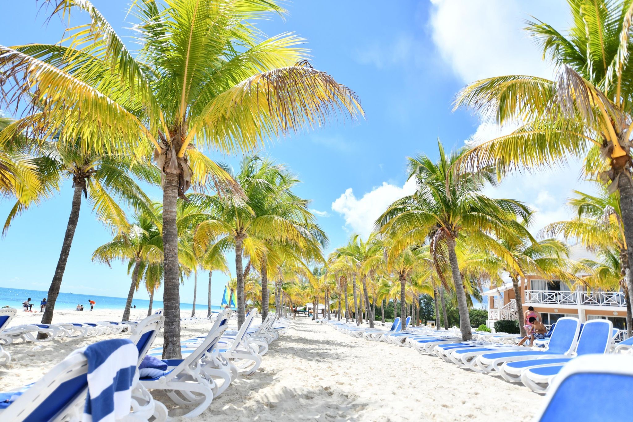 34843_ Grand Bahama.jpg