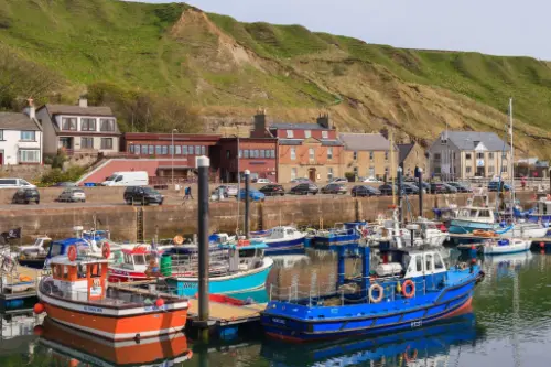 Скрабстер / Шотландія