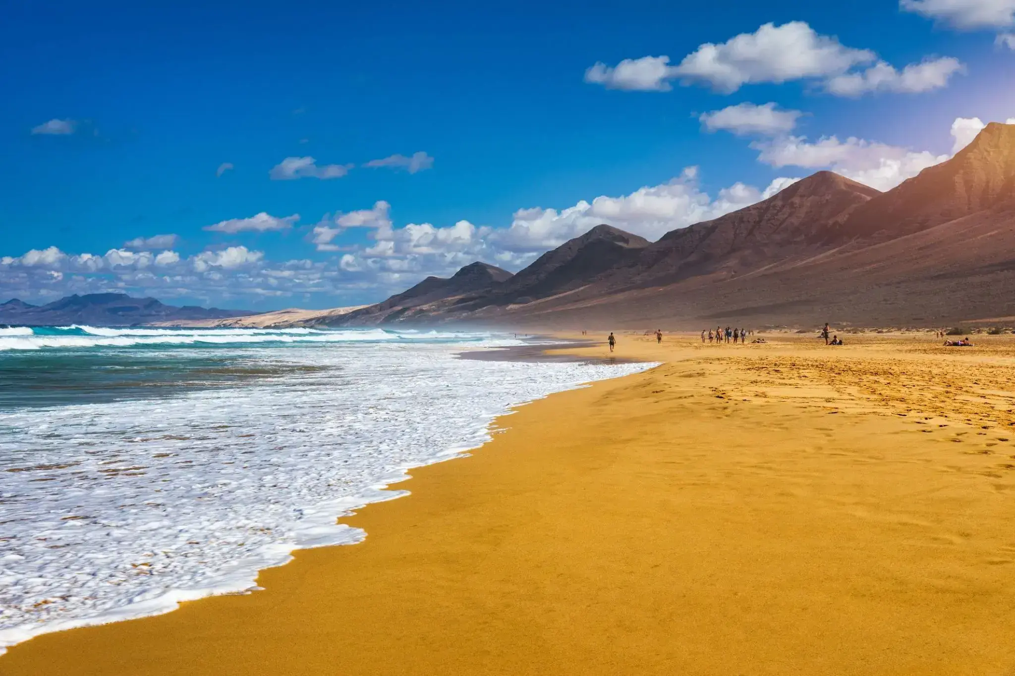 34651_Fuerteventura.webp