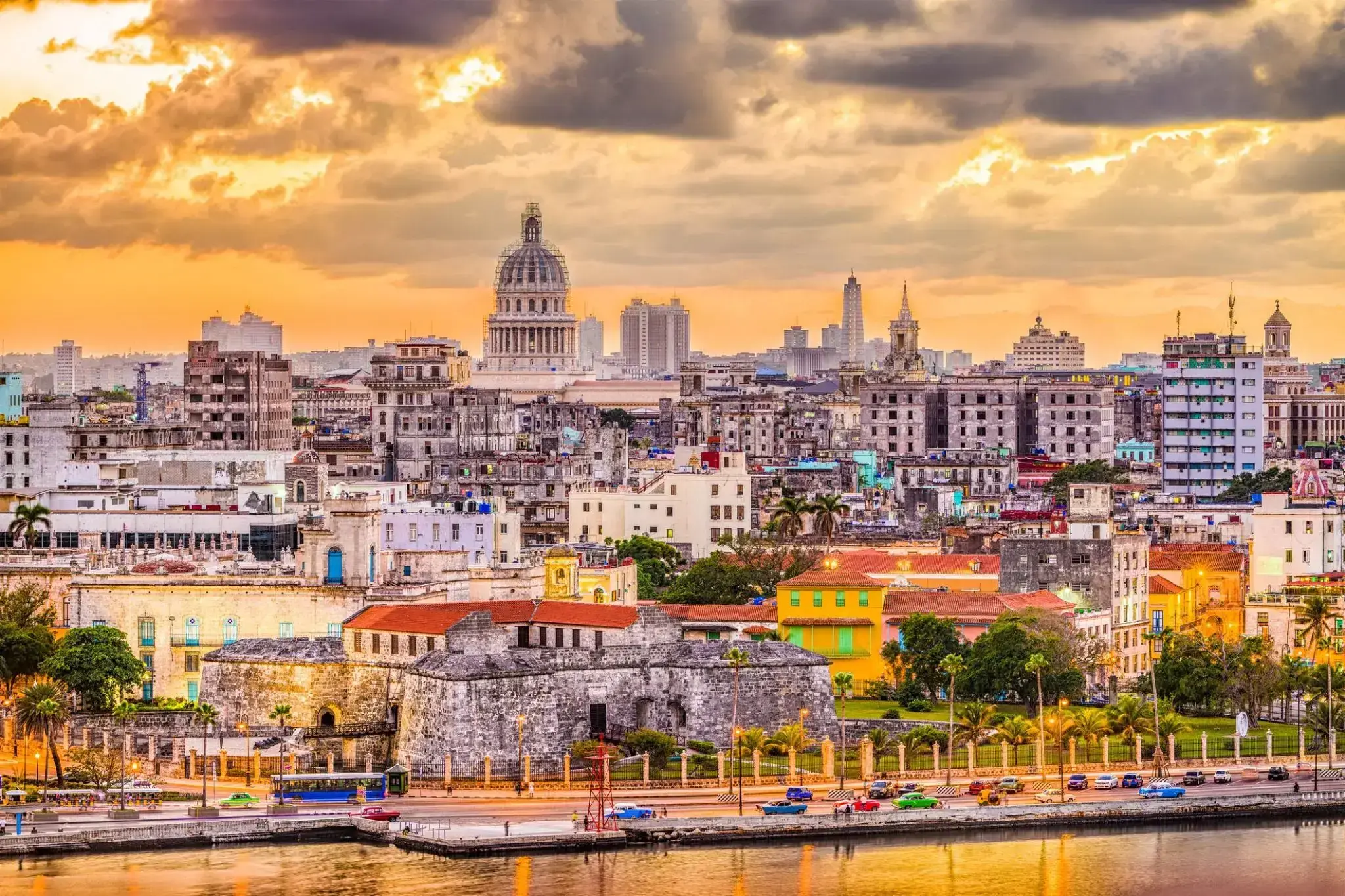 46517_Havana.webp