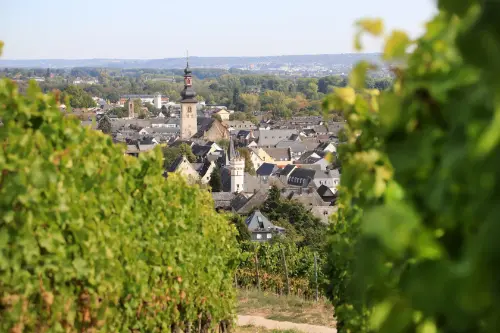 Маршрут круїзу