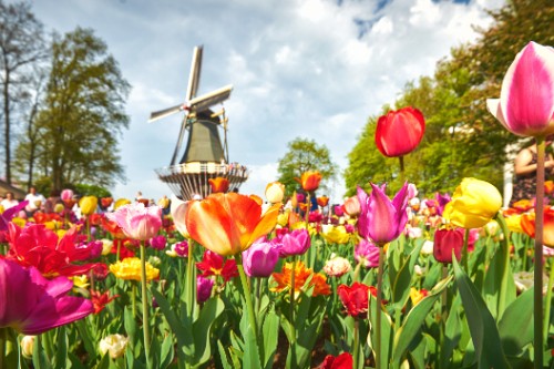 Маршрут круиза