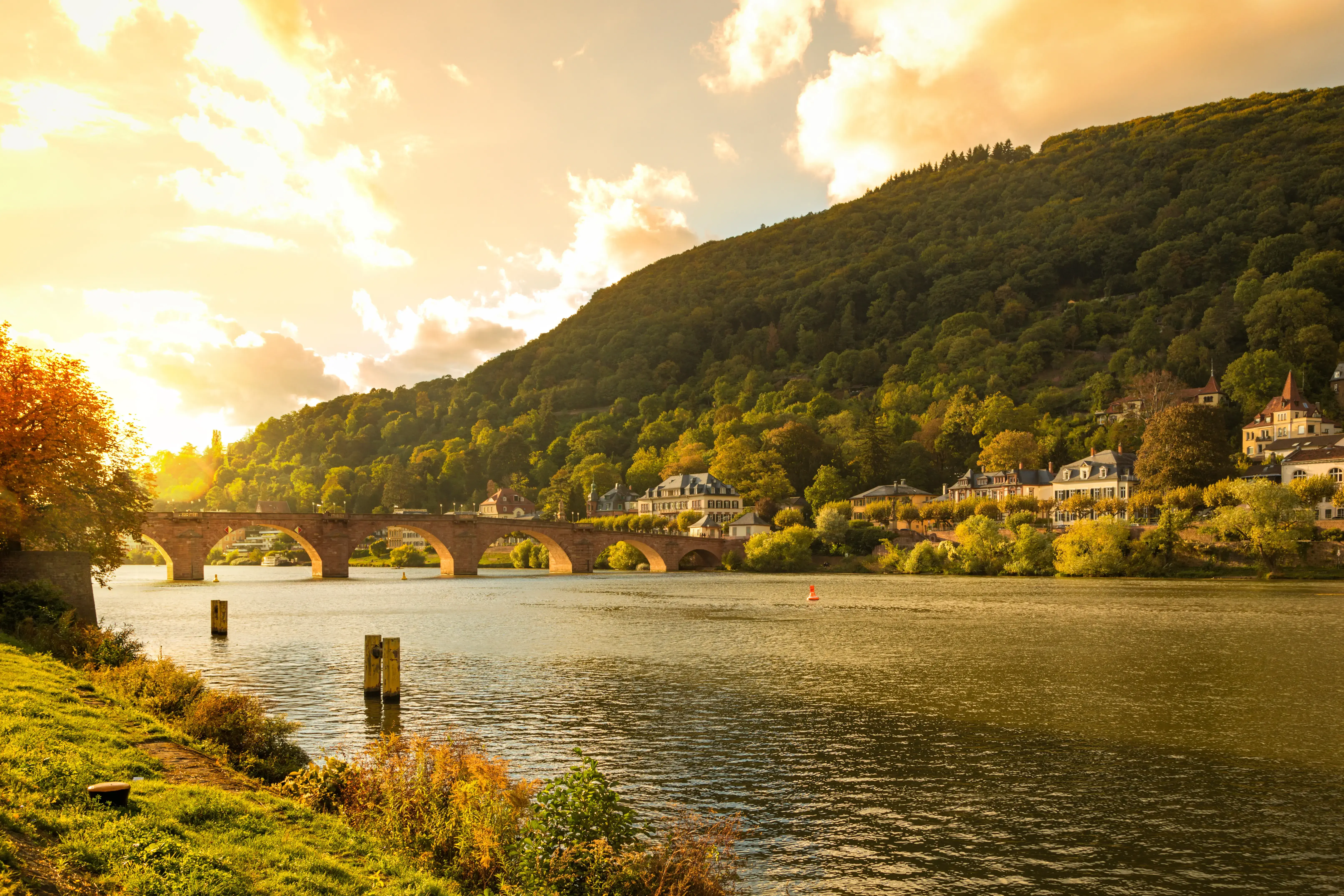 neckar-adobestock-228136483.webp