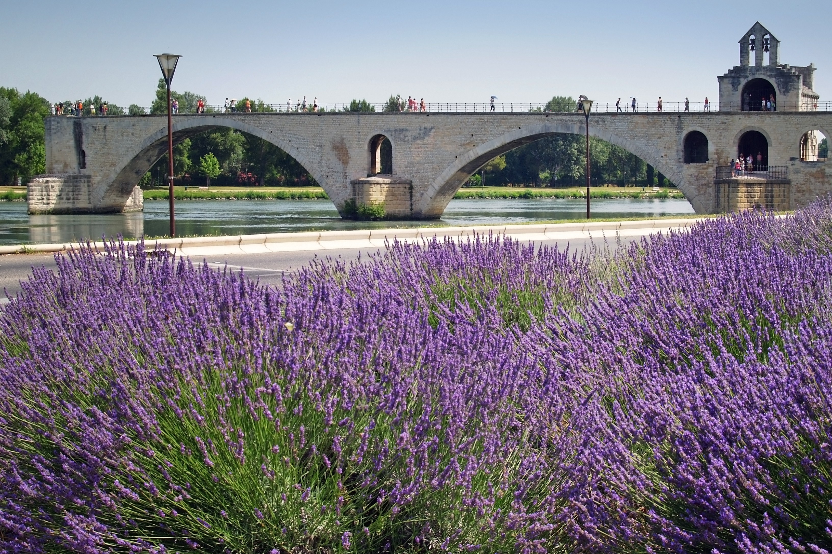 avignon-adobestock-43384756.jpeg