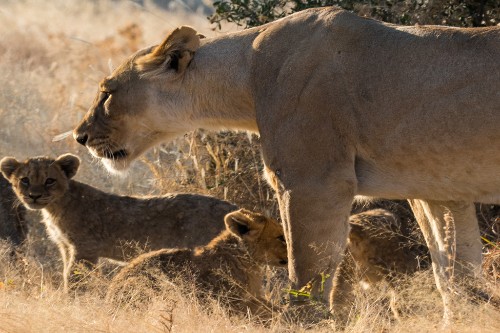 Маршрут круиза