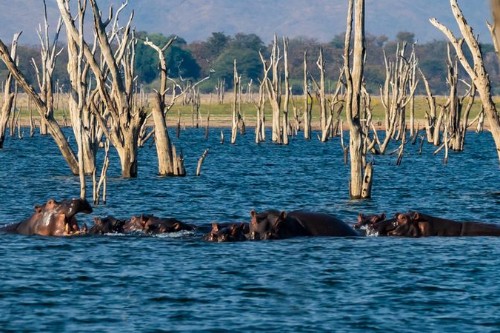 Маршрут круиза