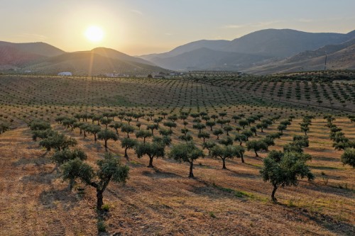 Маршрут круиза