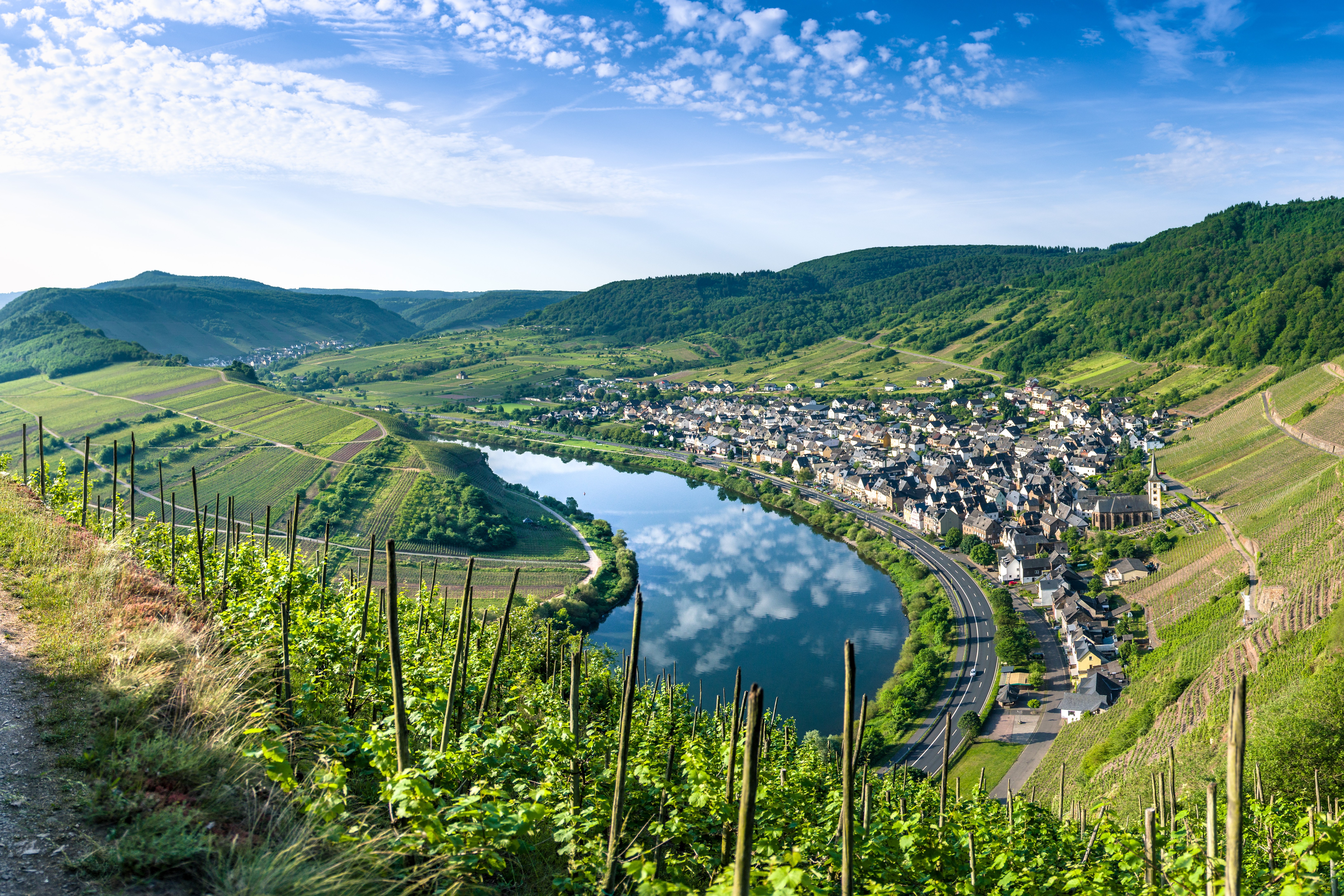 mosel-adobestock-158650122.jpeg