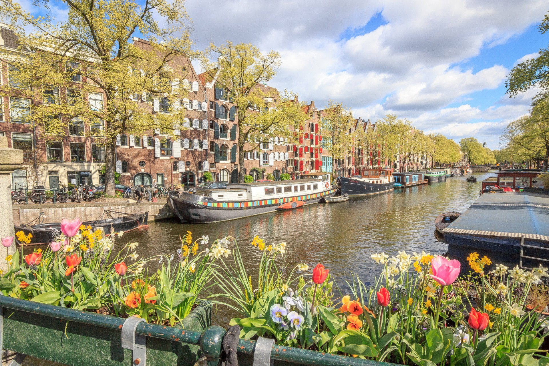 amsterdam-adobestock-184091714.jpeg
