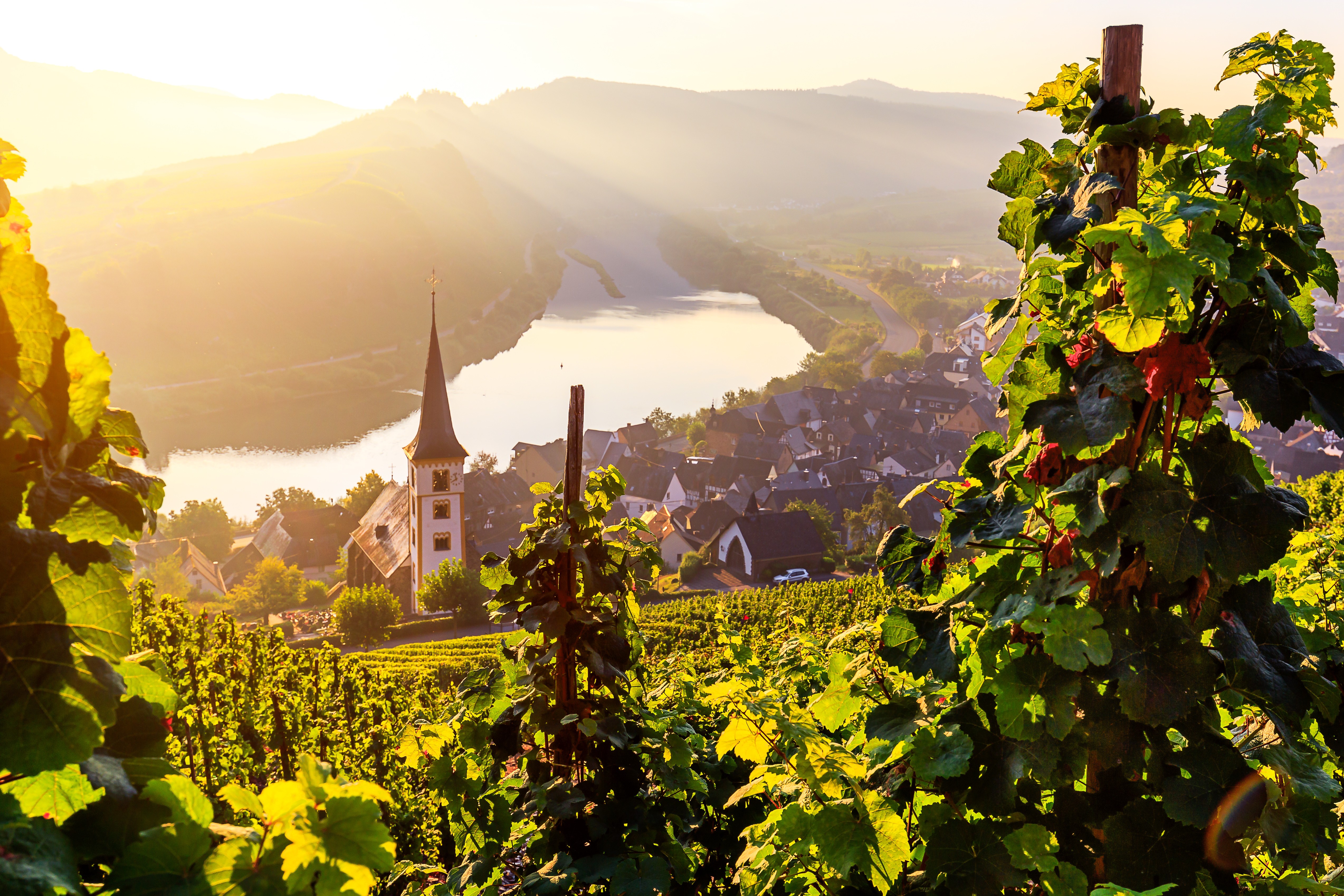 mosel-adobestock-125922797.jpeg