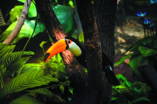 Маршрут круїзу