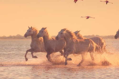 Маршрут круїзу