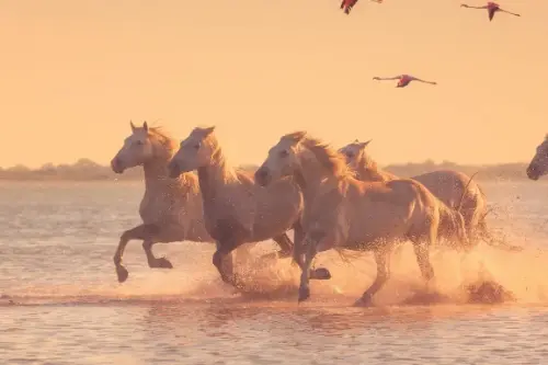 Маршрут круїзу