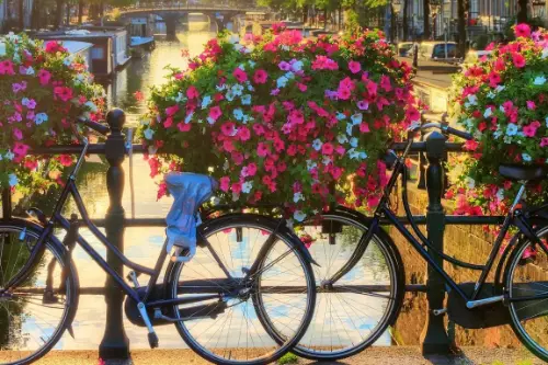 Маршрут круїзу