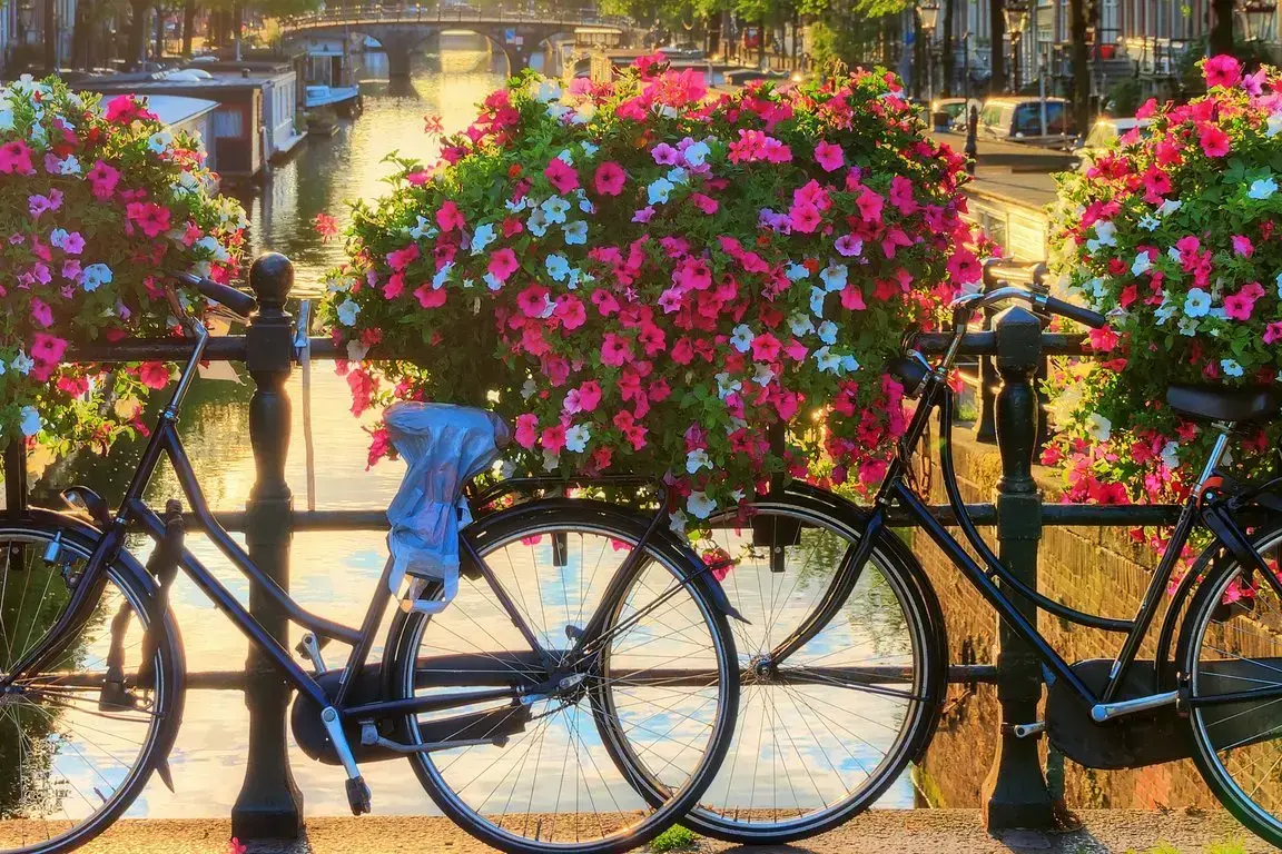 csm_AdobeStock_222985813_amsterdam_b2c1ab9ec8.webp