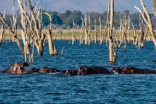 Маршрут круїзу