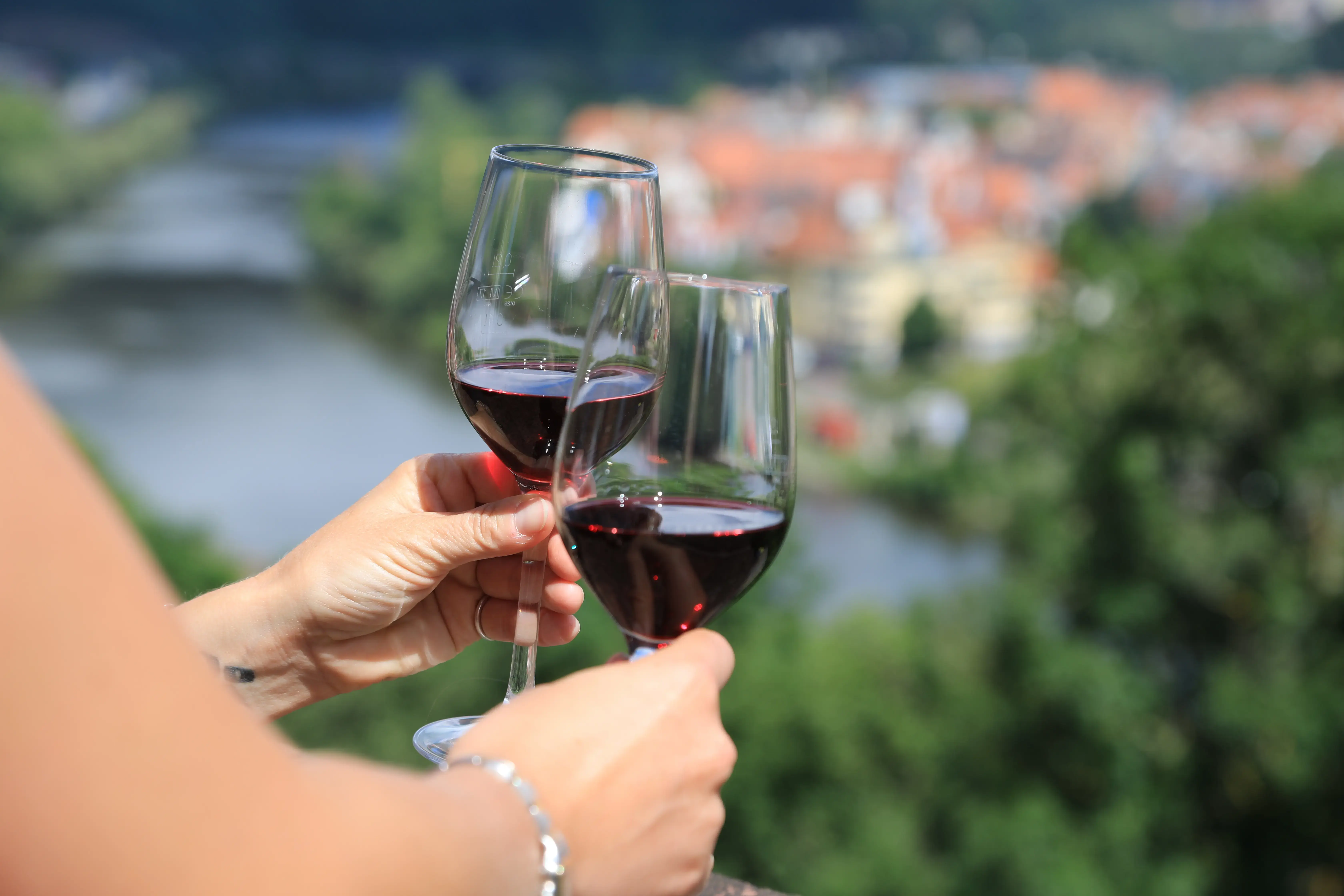 weinprobe-burg-wertheim-29-06-2020-05.webp