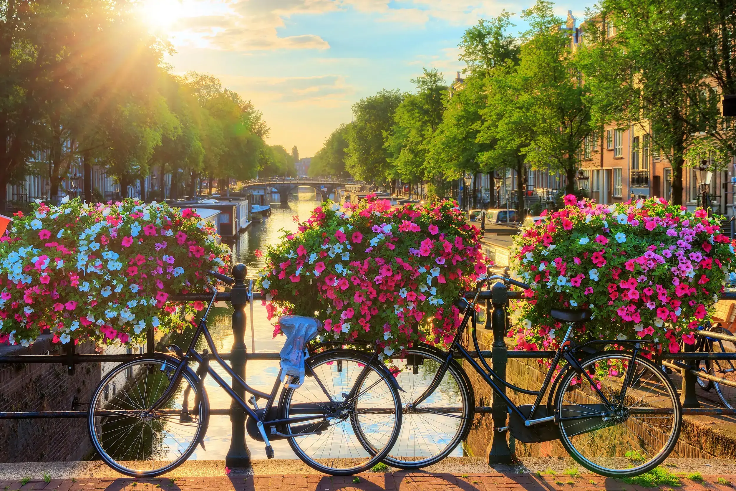 Речные круизы с A-ROSA