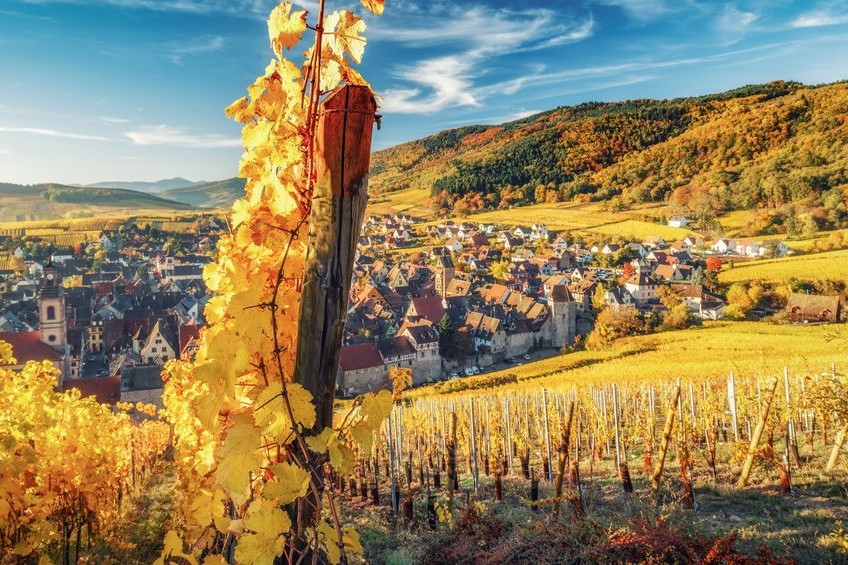 alsace-rhin-vigne-eguisheim-funny-studio-croisieurope-funny-studio-adobe-stock