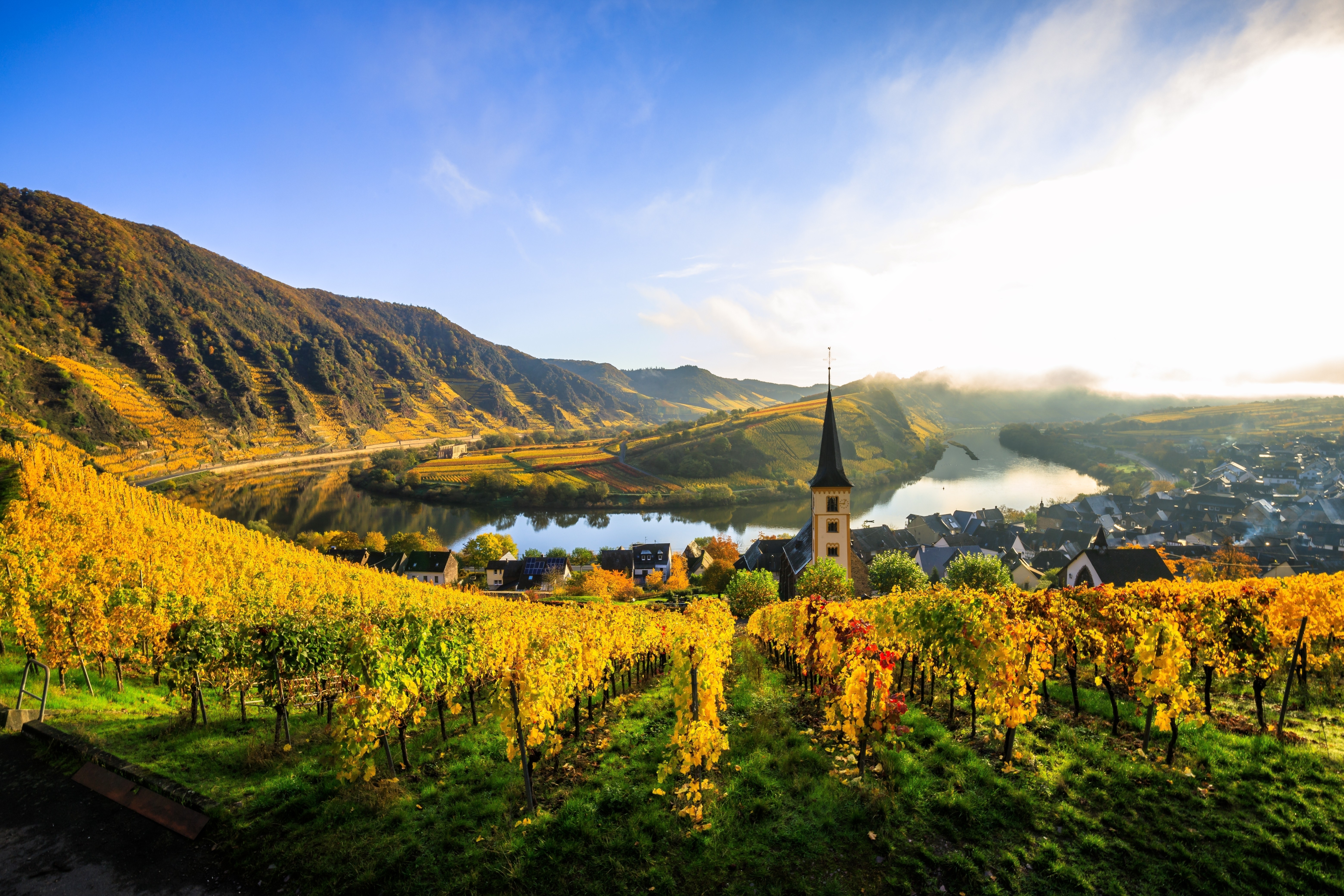 Lueftner_Cruises_Amadeus_Moselle_Germany_vineyard_Moselle_Bend__c_shutterstock_2206149449.jpg