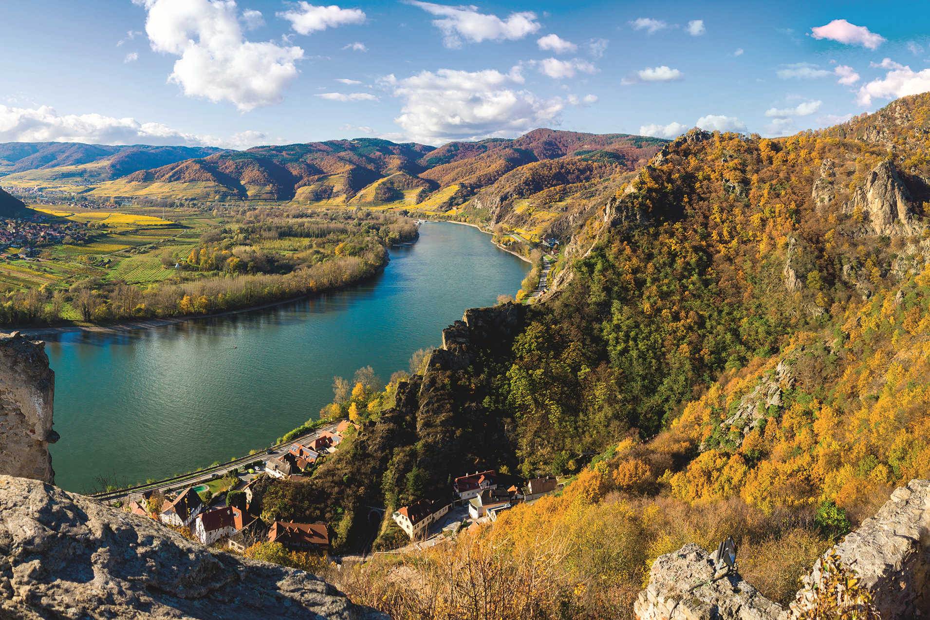 Lueftner_Cruises_Amadeus_Danube_Austria_Wachau__c_LU514104043.png